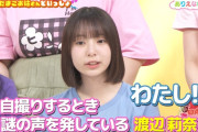 渡辺莉奈は自撮りする時ヘンな声を出す【りなし】【新・日向坂ミュージックパレード】【日向坂46】