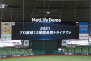 【悲報】合同トライアウト、合格者は1人だけの模様