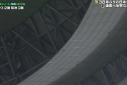 オリックス杉本のフライがリングに消える欠陥京セラドーム大阪に驚愕の事実が判明