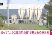 【悲報】牧場主がカラス駆除用の銃で従業員をヘッドショットしてしまう…金属の弾を摘出するも昏睡状態