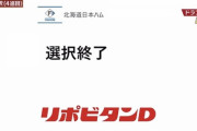 日本ハム、育成指名は3巡で終了