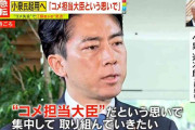 小泉進次郎氏「コメ担当大臣という思いで集中して取り組んでいきたい」 辞任の江藤農水大臣の後任