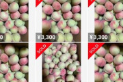 山梨で桃4000個が盗まれる→メルカリに熟してない桃が大量出品　出品者｢山崎県産｣