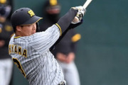 阪神・大山　驚異の６割　止まらない！４戦全戦Ｈ「まだまだ」佐藤輝と熾烈４番争い