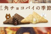 マクドナルドの『三角チョコパイ』のCMが不評な理由はなぜなのか？
