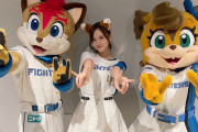 ぽまいらがプロ野球球団を持った時にモチーフにしたい動物は？
