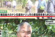 【動画】日本の農家さん、韓国に「ナシの栽培技術」を提供