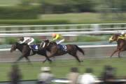 【競馬】近年、宝塚記念に頭数が揃わない理由