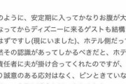 【悲報】妊婦さん、ディズニーのホテルでとんでもないクレームをつけてしまう