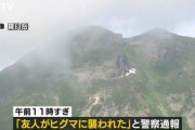 【悲報】北海道羅臼岳で｢友人がヒグマに襲われた｡藪に引っ張られていった｣