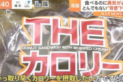 【朗報】ローソンストア100、手軽にカロリーを摂取したい人の為のこういうのでいいんだよパンを発売