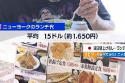 【悲報】日本のランチ代、海外の半分だった･･･