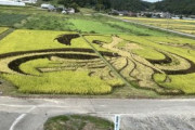 田んぼアートに来ました　 一年ぶりの羽生君こんにちは