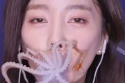 【国際】タコやイカを生きたまま食べる韓国人YouTuberに「動物虐待」の批判殺到　　※動画あり