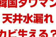 【画像】韓国の新築タワーマンションが水漏れでボロボロに！？　壁紙が剥がれてカビが生える？ストローを差して排水？一体何が起きてるの？