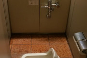 「日本のこのトイレが全く理解できない…」外国人が詳細を知りたがった日本のモノ特集
