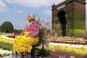 大韓民国菊香大展　キクの花でおめかし「平和の少女像」[10/16]