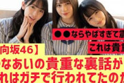 【日向坂】ひなあいの裏側の情報が！ あれガチだったのか