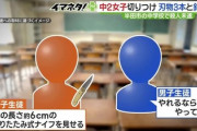 ナイフちらつかせた女子生徒に男子生徒「やれるものならやってみろ」→直後に首を切られる、ナイフ3本 畳針所持