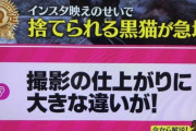 【人間のクズ】 まんさん「いらない猫がいたら引き取りますょ！ただし！黒い猫は（インスタ映えしないから）いらないｗ」