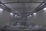 【動画】スズキのジムニーが四日市の水没地下駐車場から脱出する衝撃映像がコチラ