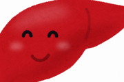 肝臓ってお酒飲まなければ回復していく？ｗｗｗｗｗｗｗｗｗｗｗｗ