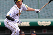 阪神井上広大「1試合だけなので悔いのないように。」母校履正社にエール