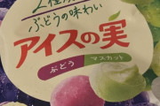 韓国人「韓国人が日本で食べてあまりに美味しくて驚いたアイスがこちらです」→「特に好きじゃない味なのに美味しかった‥」