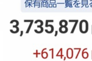 【朗報】株ワイ、原資300万円で60万円の大儲けをしてしまう