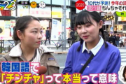 テレビ「10代が予想する今年の流行語大賞はこれだ！」→『チンチャ（ほんと）それな』