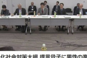 日本政府「男性の家事育児への参画が少子化対策に繋がる」性別による役割分担見直し