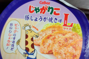 じゃがりこのパッケージのダジャレが理解できない
