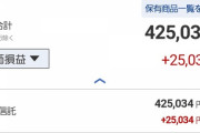 【朗報】ワイ、なんとなく始めた積立NISAで2万5000円も儲けてしまう