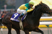 ゼンノロブロイが老衰で死す「秋の古馬王道」を3連勝 04年、サンデーサイレンス産駒として初の年度代表馬