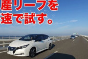 日本人特有の「車の色？白でええか」精神