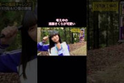 考え中の遠藤さくらが可愛いすぎた｜乃木坂46 遠藤さくら 賀喜遥香 #shorts