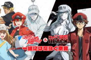 はたらく細胞!!＆はたらく細胞BLACK 合同イベント「一緒にはたらく祭典」開催！シリーズ新規ゲームも制作決定！