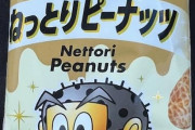 【画像】新発売のガリガリくんのねっとりピーナッツ味買ったわwww