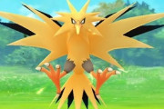 【朗報】サンダーとかいうポケモンｗｗｗｗｗｗｗｗｗｗｗｗ