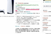 でも仮にPS5が30万出荷出来たら全部売れたよね？