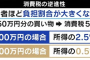 やっぱり消費税っておかしくね？