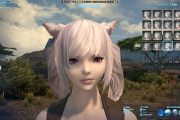 【FF14】グラアプデをするよりキャラメイクの選択肢を増やしたほうがユーザーは満足したと思うんだが・・・