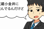 上京して武蔵小金井に住んでるんだけどショボくて嫌になってきた