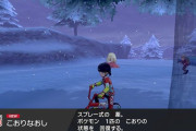 【衝撃】「ポケモン剣盾」いま雪原で毒消し拾ったら『new！』て出た