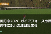 2026年 安田記念は手薄なメンバーか？混戦模様の出走馬と馬場状態を考察