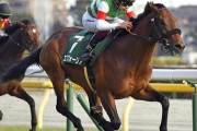 【本物の後継者現る】横山武史という天才騎手