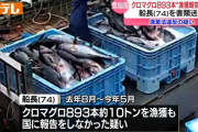 クロマグロ893本を報告せずに陸揚げ、業者に闇売り　流し網漁船の船長を書類送検