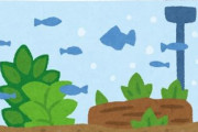 アクアリウムやってるひとにエアポンプで聞きたいことがある