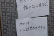反ワク煉獄さん保護猫カフェにノーマスク集会凸予告し優しい店主ブチギレ逆に自宅訪問されるｗｗｗｗｗｗｗｗｗｗｗｗ