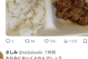 【画像】万博弁当、めちゃくちゃ豪華。アンチどうすんのこれ